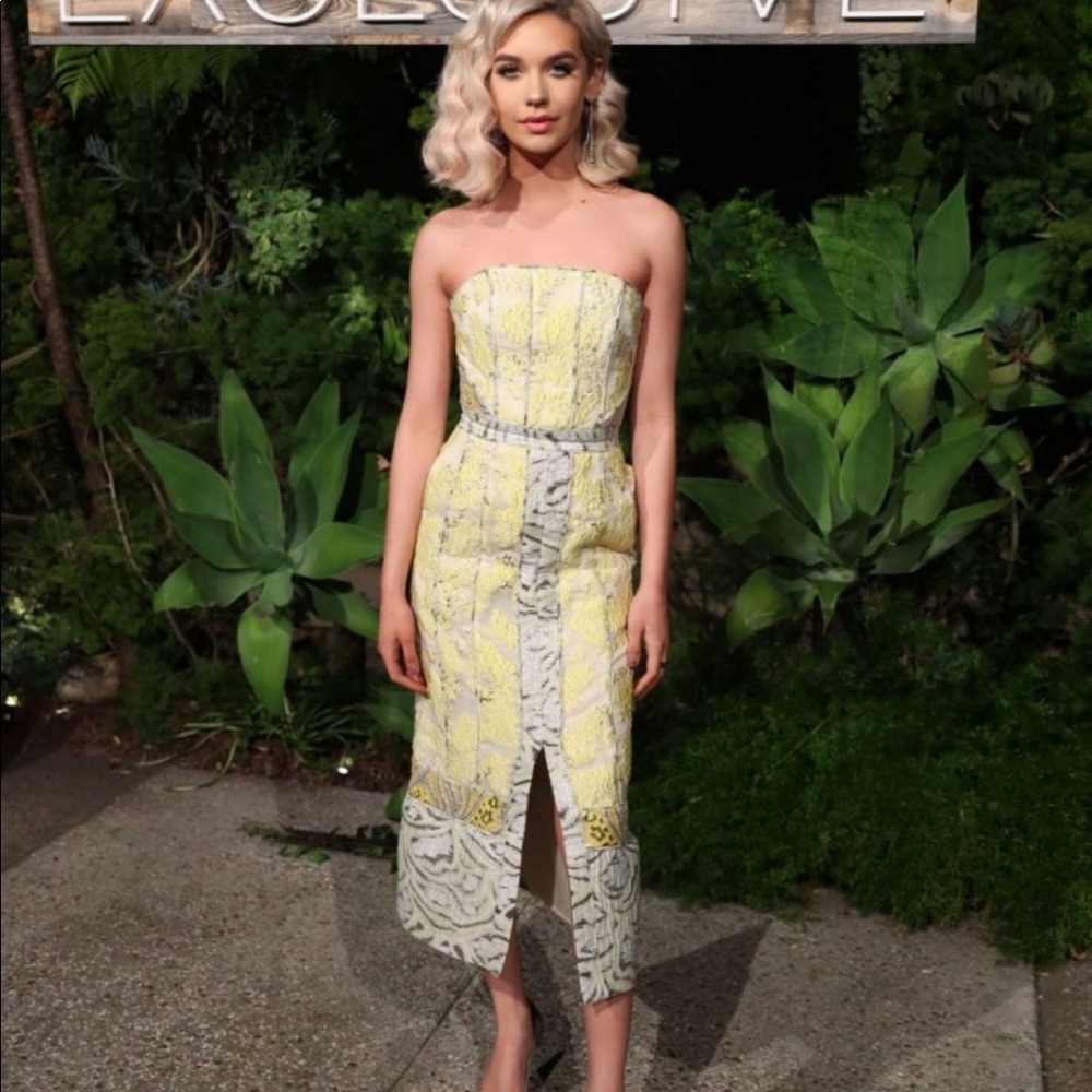 H&M Conscious Exclusive Brocade Dress
